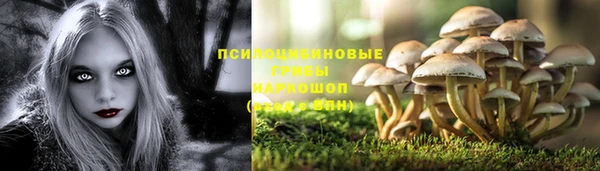 МДМА Алексеевка
