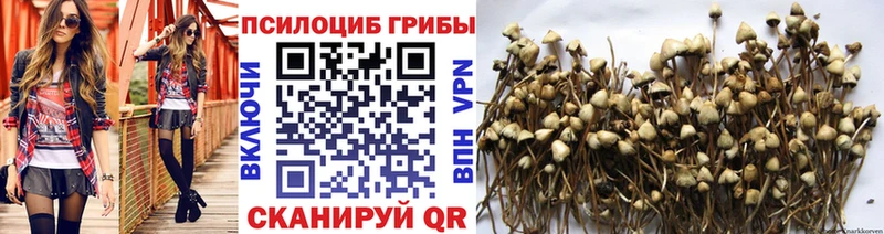 ОМГ ОМГ ссылки  shop телеграм  Псилоцибиновые грибы Cubensis  Асино 