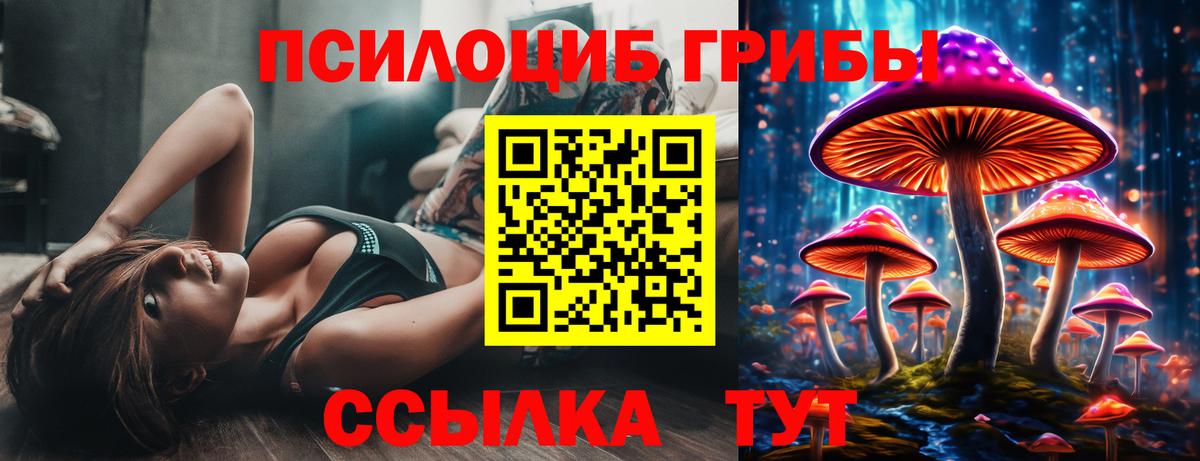 продажа наркотиков  Галлюциногенные грибы прущие грибы  Вход с VPN  Псилоцибиновые грибы мухоморы  Асино 