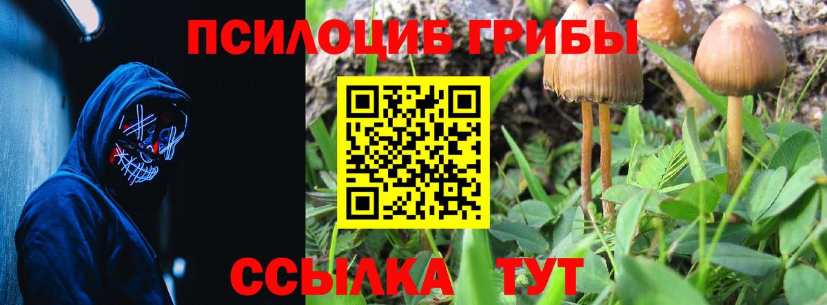 Галлюциногенные грибы Magic Shrooms Асино